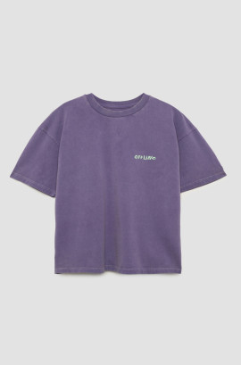 product name