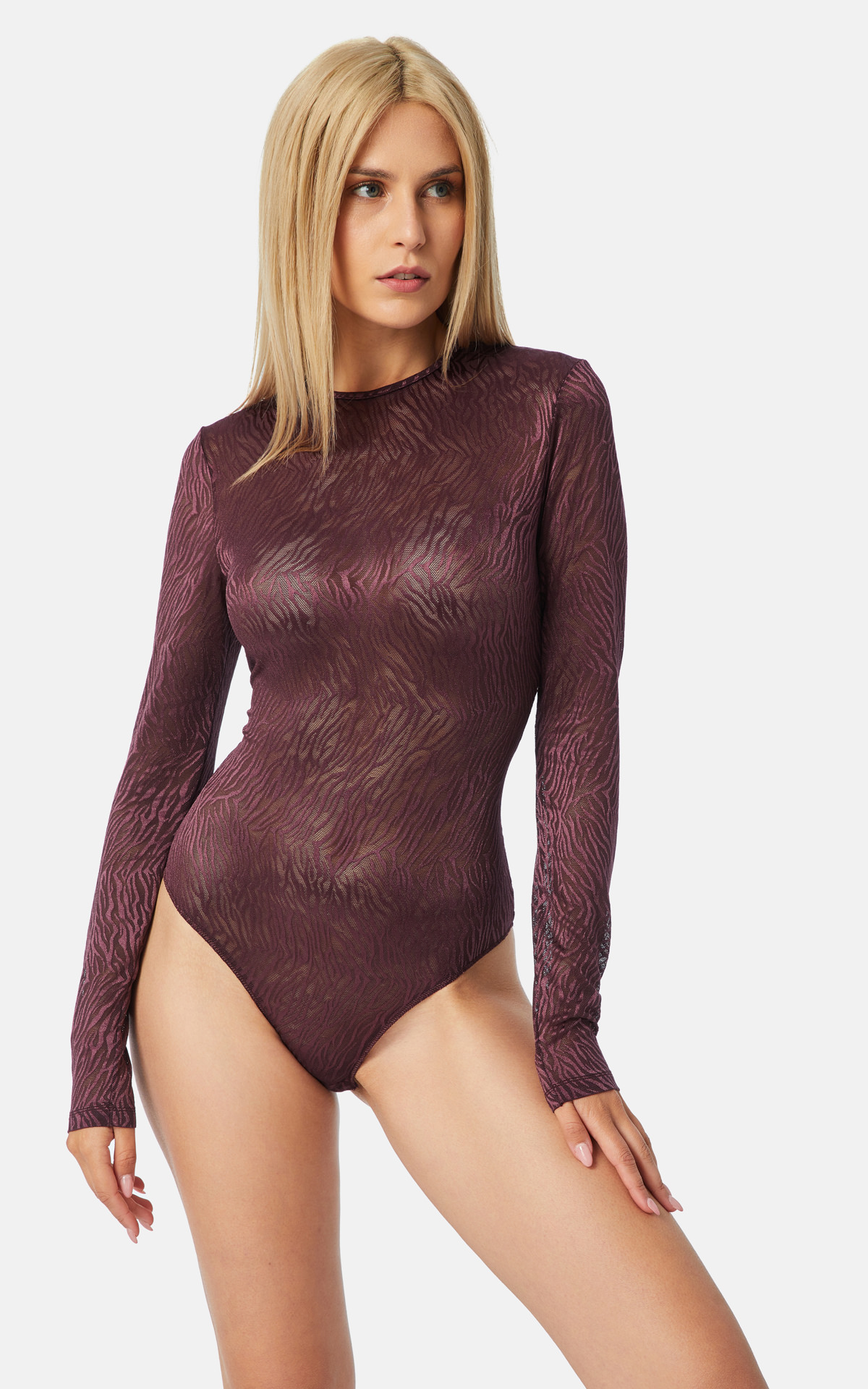 Lady Sheer Lace and Tulle Bodysuit